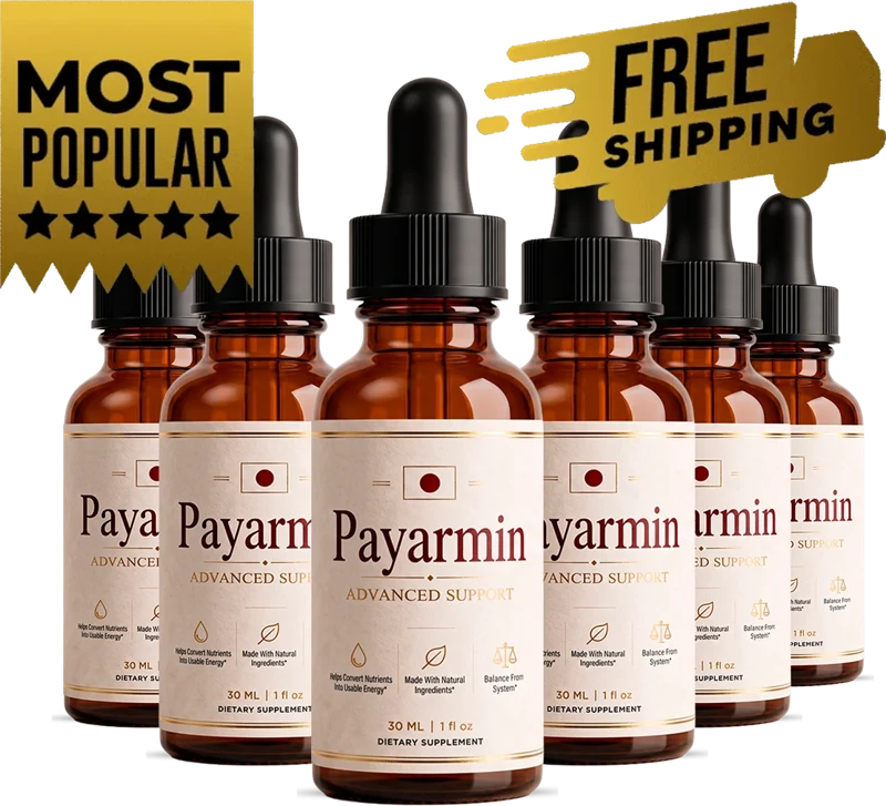 PayArmin 6 bottle pack